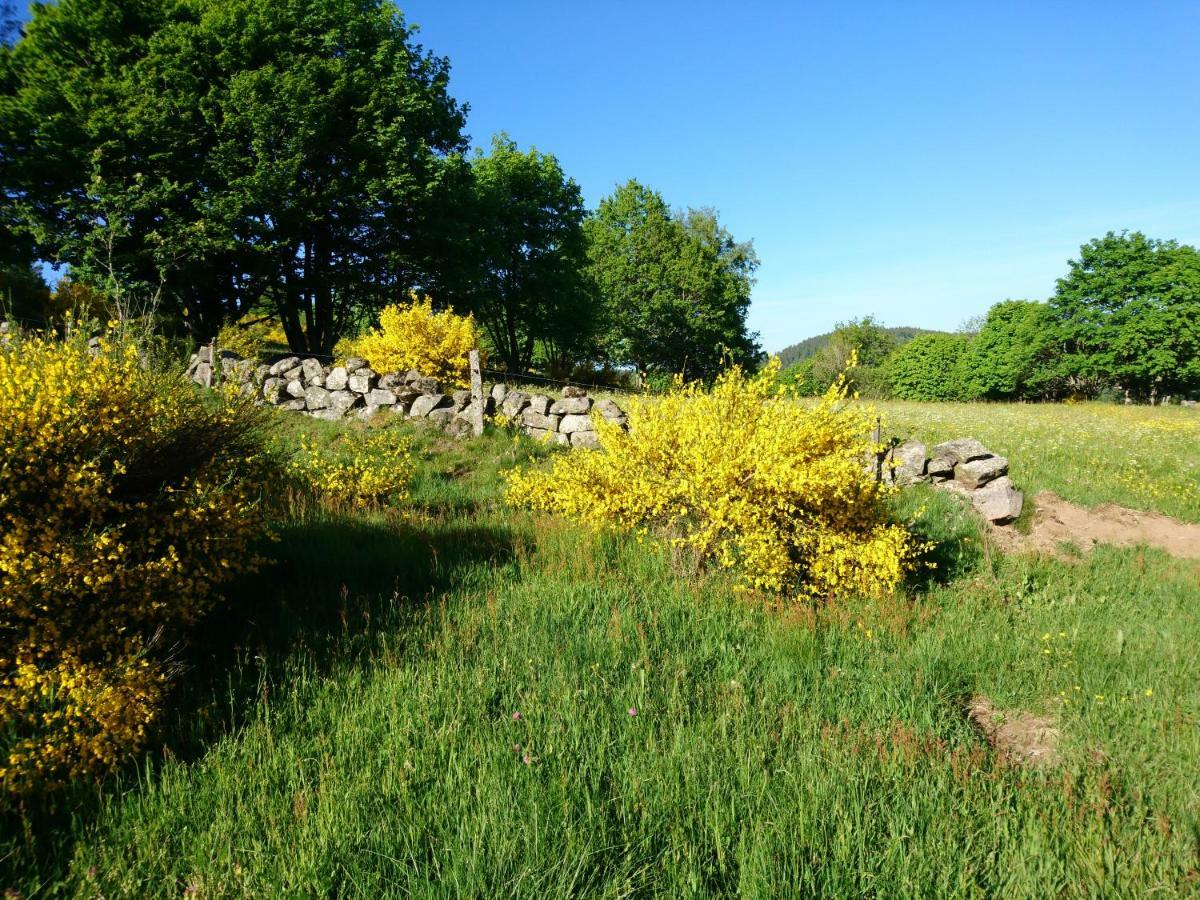 Viaux-fontaine Holiday home Saulxures-sur-Moselotte