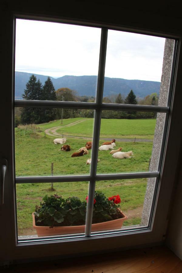 Viaux-fontaine Holiday home